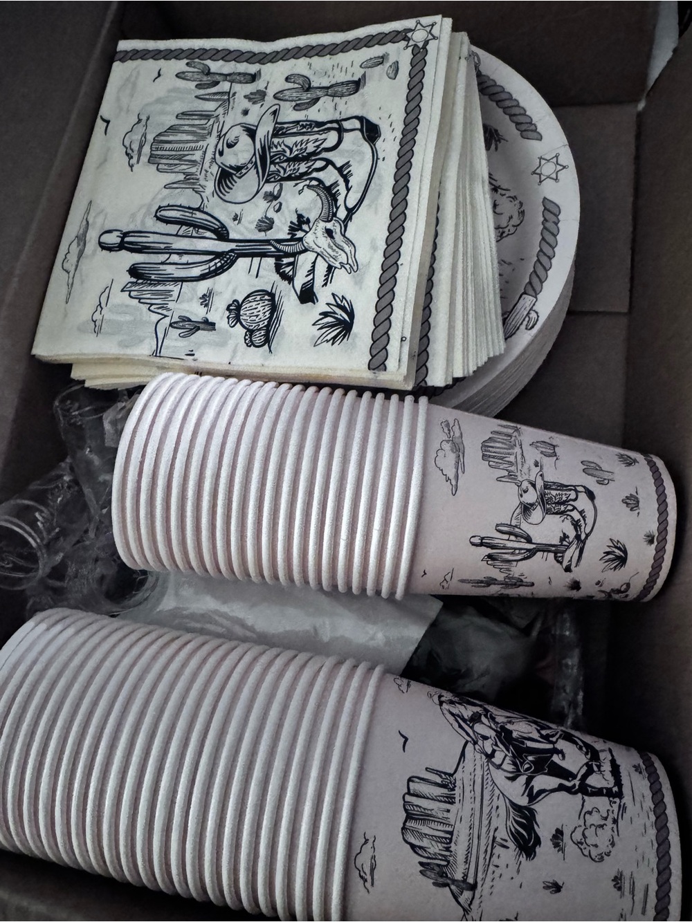 Desert Cactus Paper Cups & Napkins Set banner wall back ground Black on Cream
